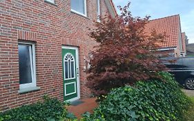 Delphin Monteurwohnung